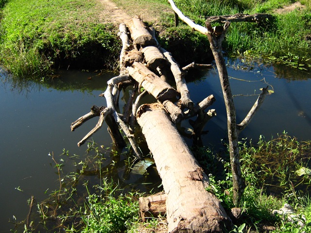 [IMG_11355.jpg]