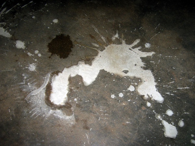 [IMG_30267.jpg]