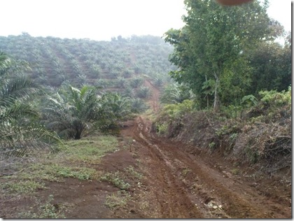 Offroad 5