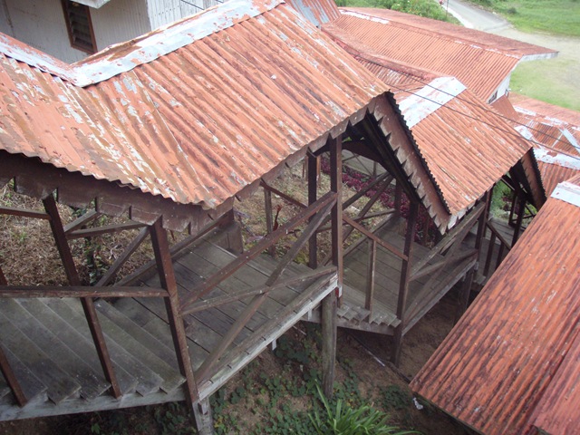 [PA2303972.jpg]