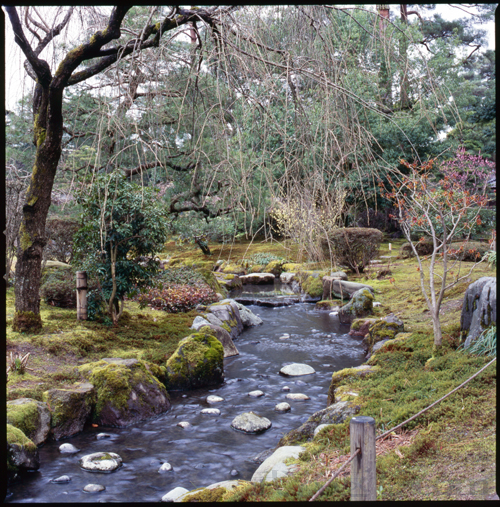 HASSELBLAD 503CW、Carl Zeiss Planar T* CFE 80mm F2.8、FUJICHROME Velvia 100F、三脚、スポット測光