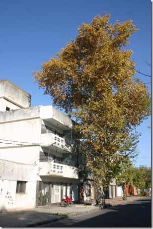 hogar
