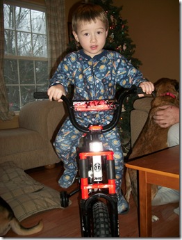 Christmas 2010 045