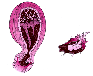 [image[3].png]