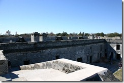IMG_1021 IMG_1021