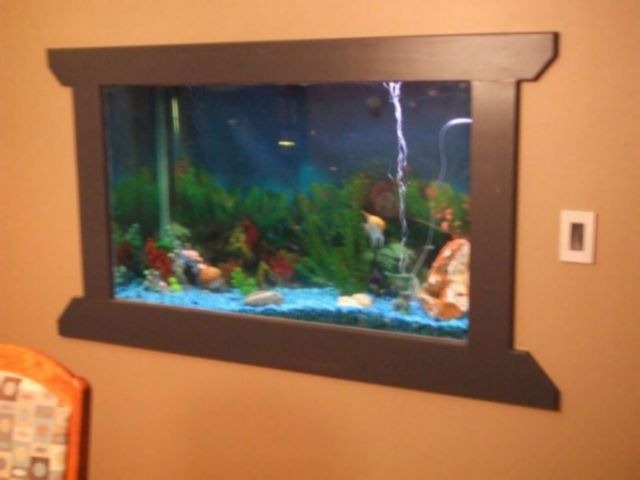 [fish tank in wall 4[4].jpg]