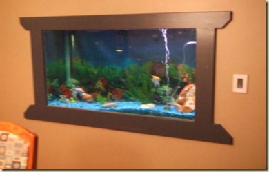 fish tank in wall 4