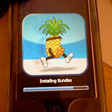 IPodTouch221QuickPwnFailed