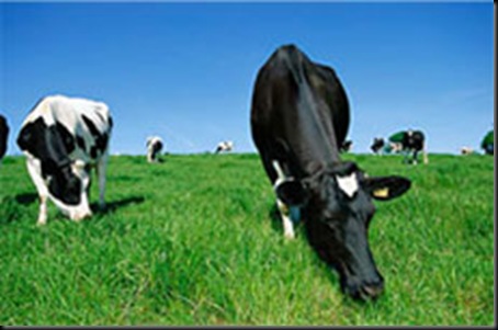 cow_dlv2