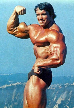 arnold schwarzenegger workout routine. workout routine Arnold