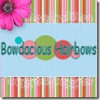  Back 2 School Blog Bash 2009! Month of giveaways!