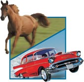 [horse_car3.jpg]
