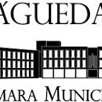 Câmara Municipal de Águeda atribui apoios ao arrendamento
