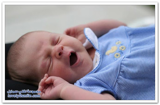 Cute babies with their funniest yawn Cute babies with their funniest yawn