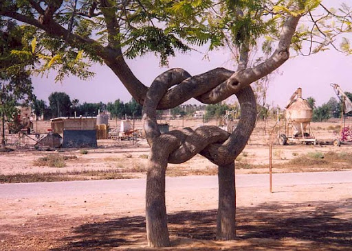 perfect, funny, unusual and funny trees