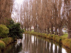 Christchurch's Avon River