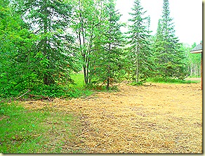DSC00865