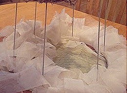 [lampshade1.jpg]