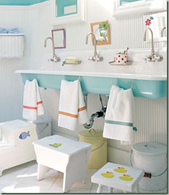 Aqua sink Canadianfamily