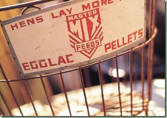 egg basket