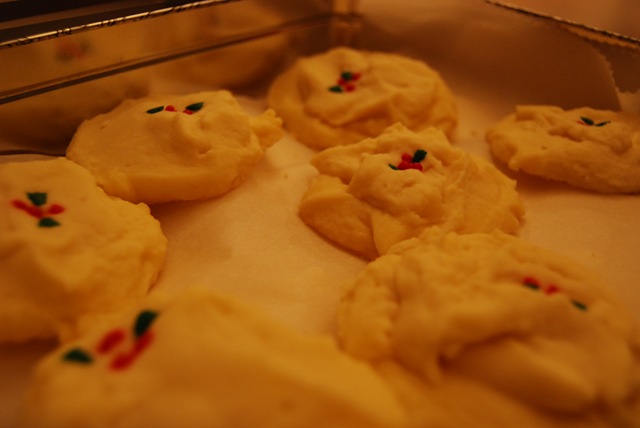 [DSC_0210[1].jpg]