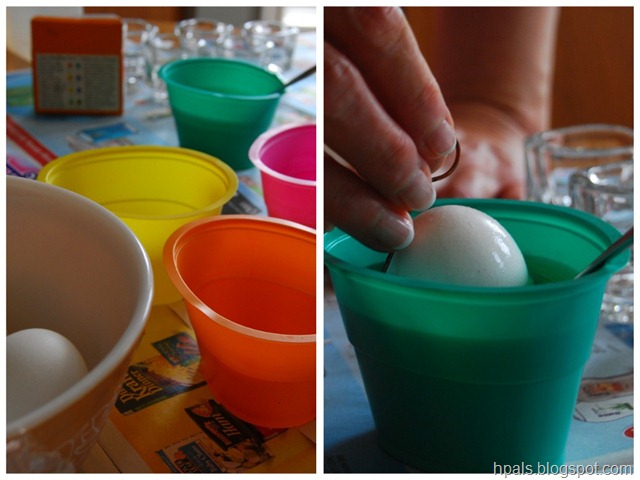 [egg1[3].jpg]