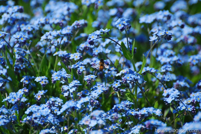 [DSC_1051[3].jpg]