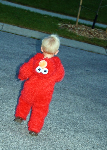 [Elmo 6[6].jpg]