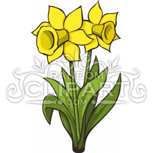 [cartoon-daffodils-10333.png]