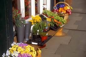 [florist4.jpg]