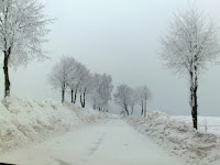 20100201462.jpg