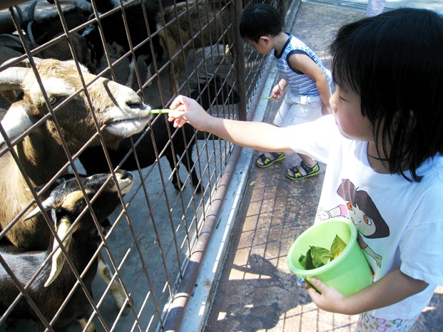 [26 Nov 075[4].jpg]