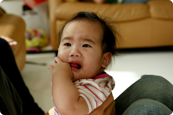 SONY DSC
