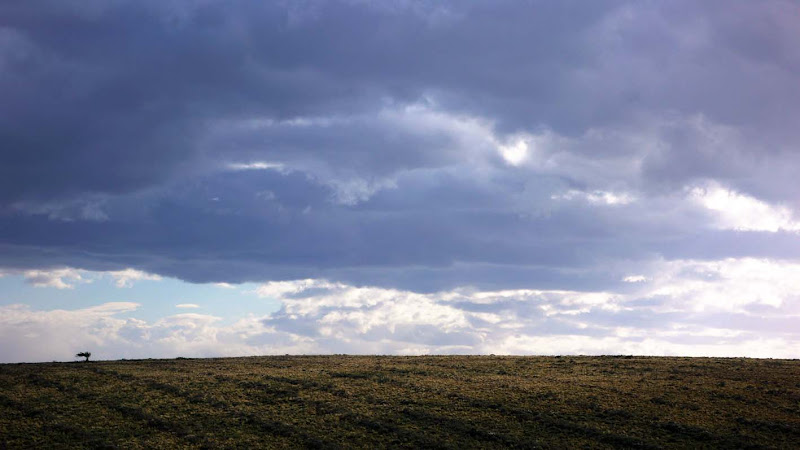 Foto di  07. Punta Arenas - Ovejera (Laguna Blanca) 