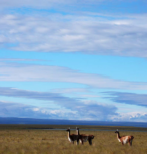 Photo of  05. Caseta en el Ripio - Estrecho de Magallanes 
