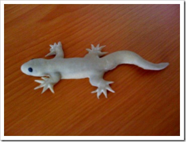 gecko #1