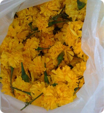 yellow flowers for krathongs