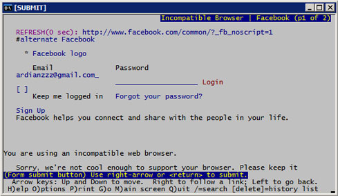 Lynx Web Browser