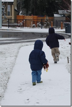 2009-01-27 10-58-39cropped