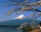 [fujiyama mount[8].jpg]