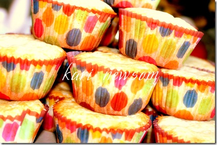 2-11-10 033new