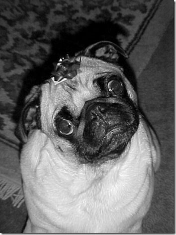 bean12-21-02b