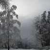 SDC10233.JPG