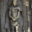 SDC10471.JPG