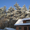 SDC10546.JPG