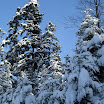 SDC10566.JPG