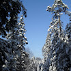 SDC10559.JPG