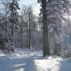 SDC10560.JPG