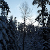 SDC10583.JPG