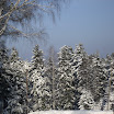 SDC10571.JPG